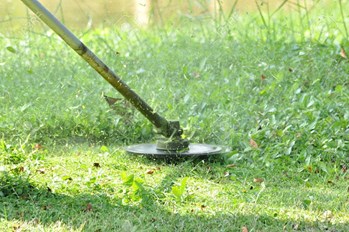 SADAIV NIPUN Powered by Brush Cutter Attchment BladeUniversal 80 T TCT Blade Wood & Grass Cutting Compatible for All Brush Cutter