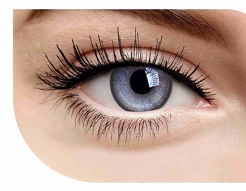 Optify Yearly Color Contact Lenses (Zero Power-Dark Blue Freshlook-Pack of 1)